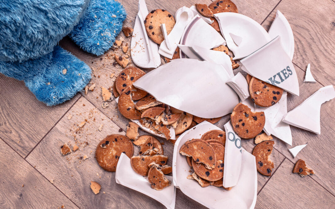Plate of broken cookies on floor